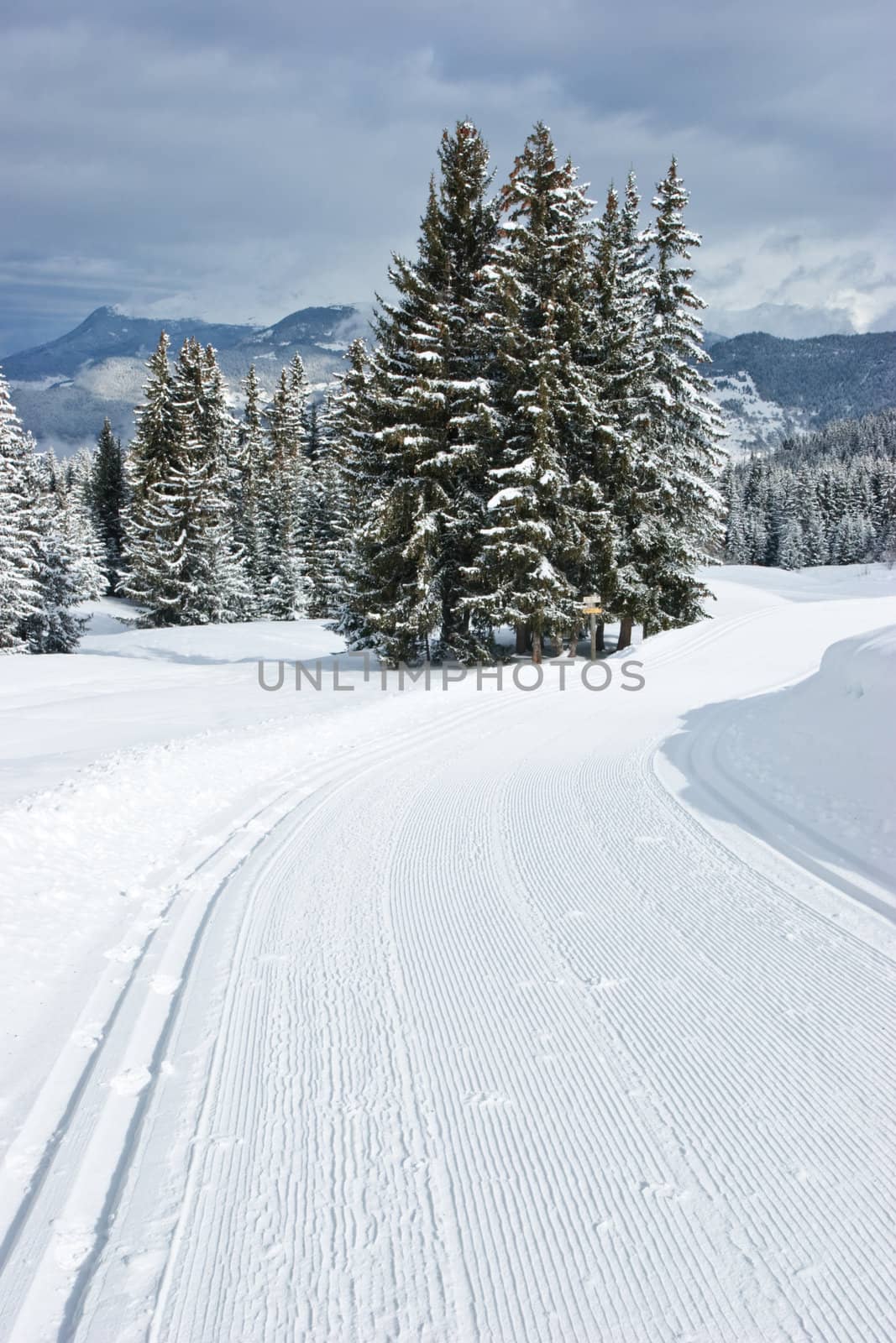 Cross-country ski track by naumoid
