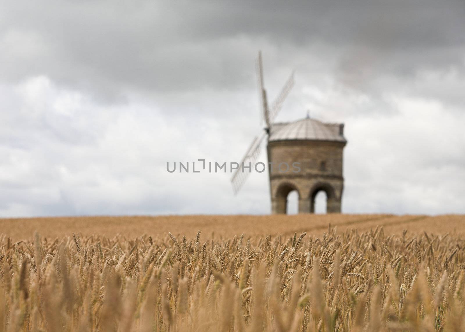 Windmill in a Cornfield by grandaded