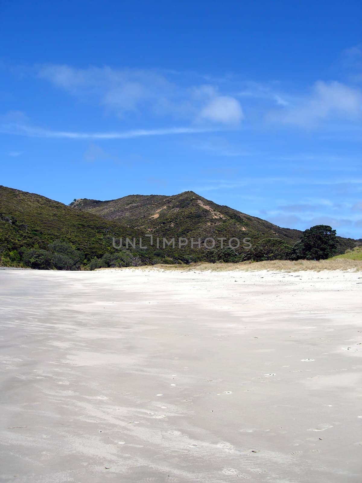 Looking inland from Tapotupotu Bay Beach, New Zealand