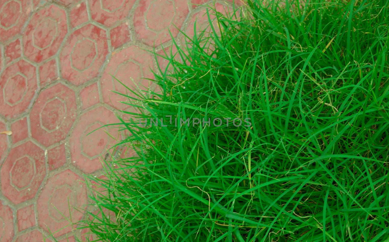 grass and cobblestone by mettus