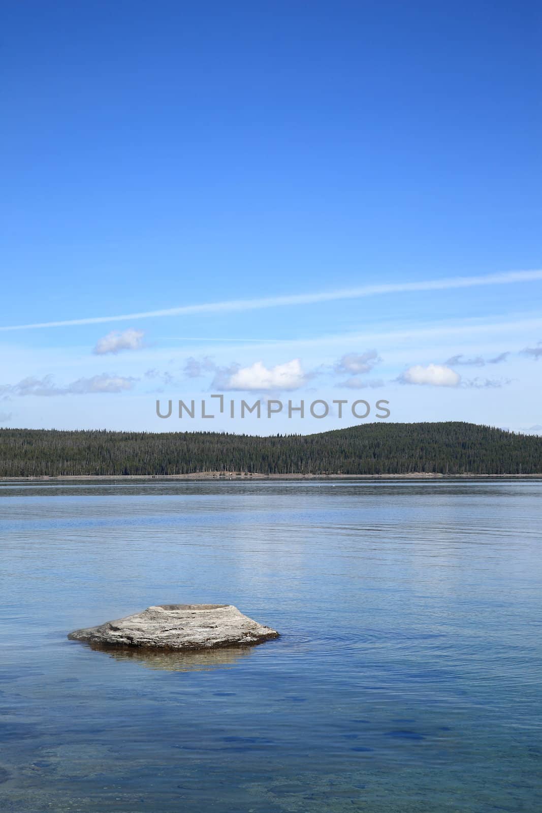 Famous geyser with Yellowstone Lake under a blue sky