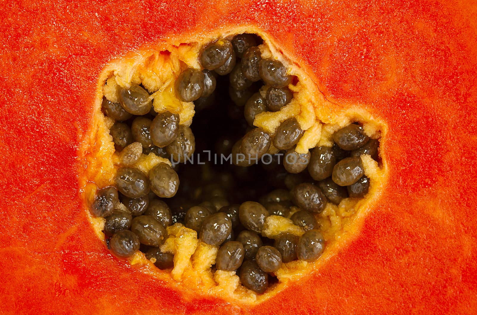 Slice of bright orange sweet mellow papaya isolated on white