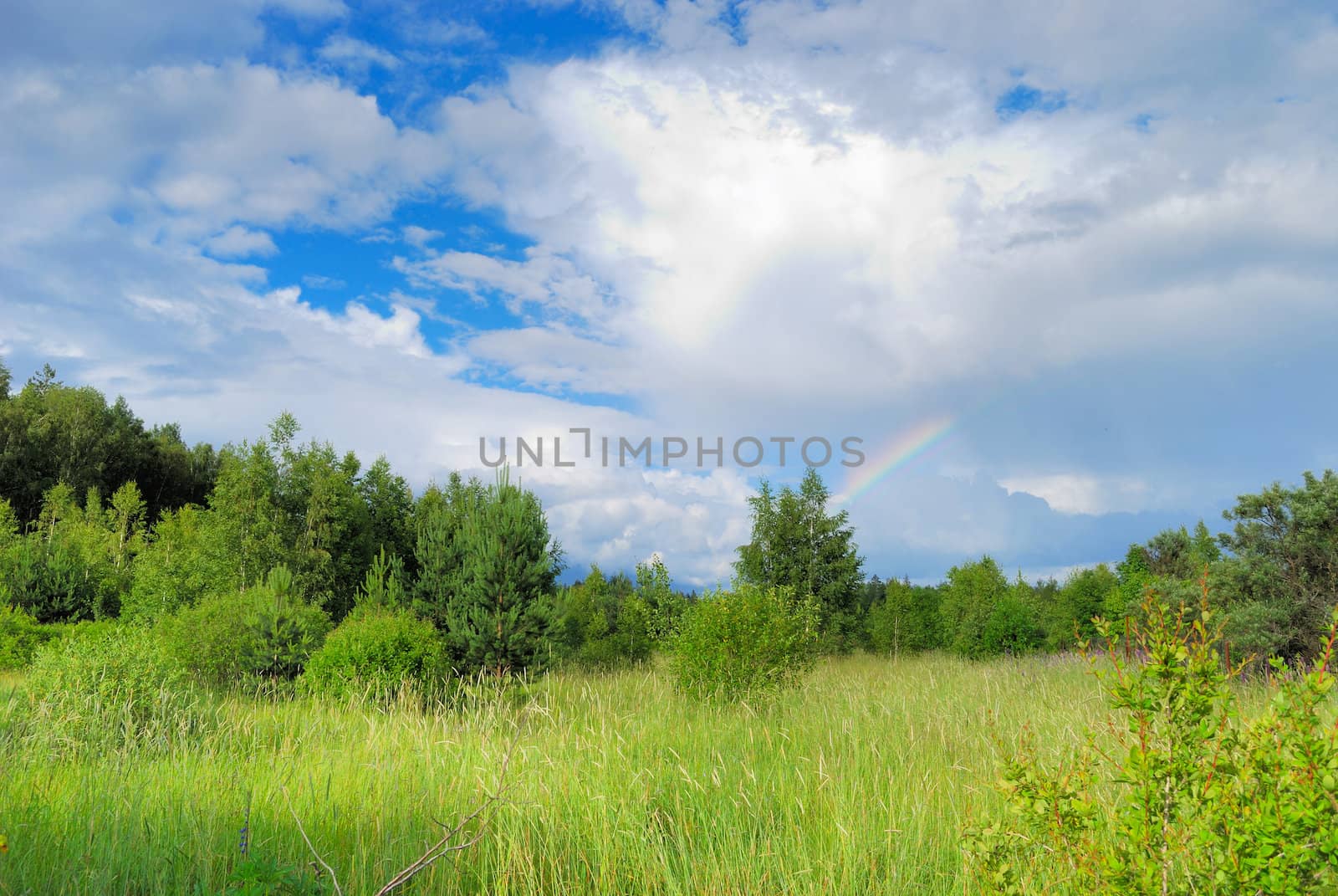 Part of rainbow among white clouds over green summer forest