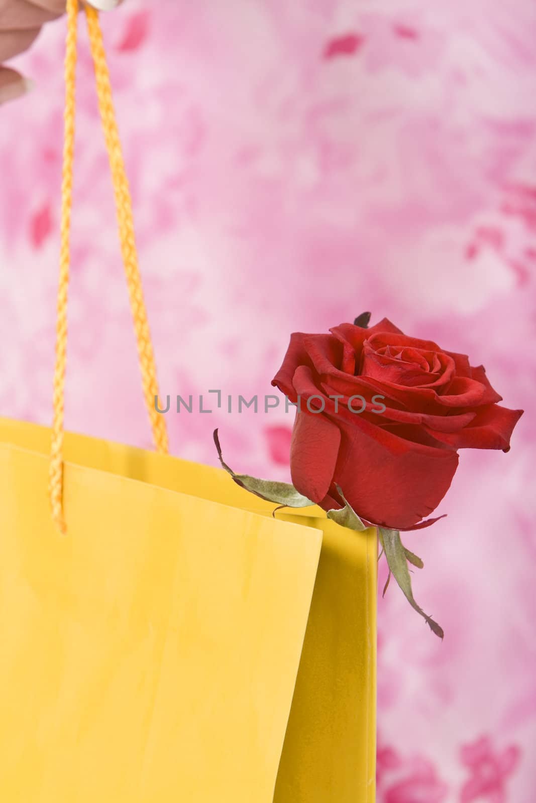 Close-up image of a rose sticking out of a yellow shopping bag. The background is made of the pink dress of the woman.Shot with Canon 70-200mm f/2.8L IS USM
