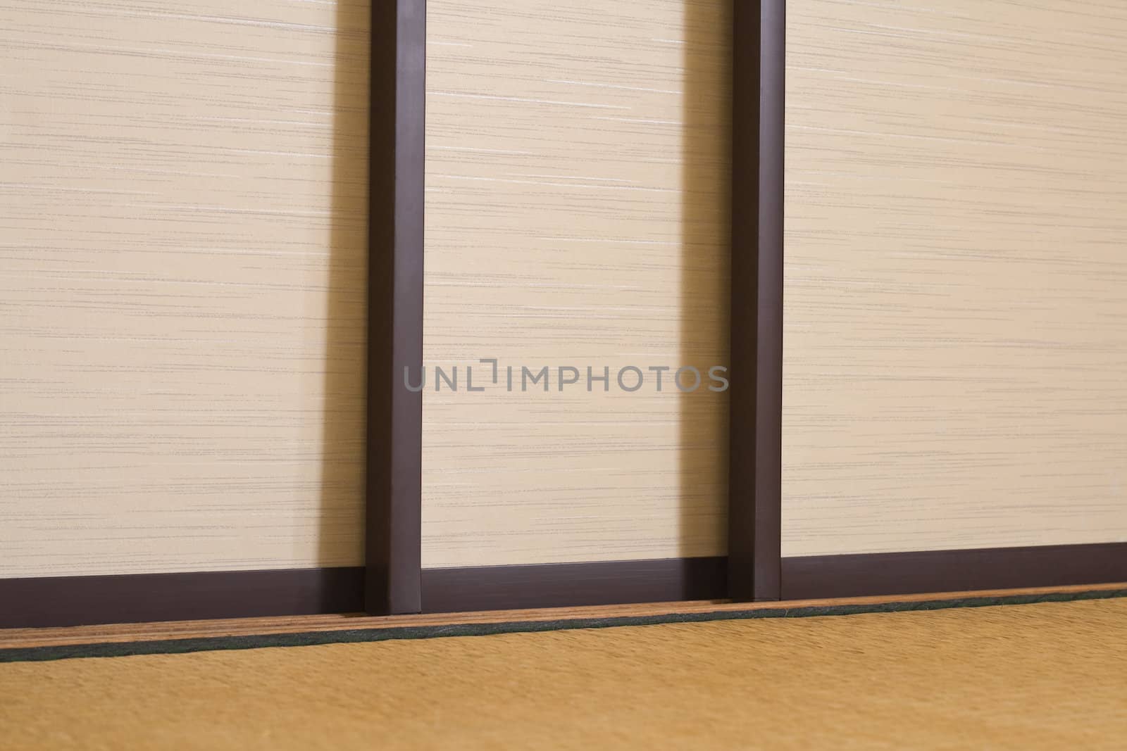 Specific detail of sliding doors in a traditional Japanese house.In front of the doors the floor is represented by a tatami. 