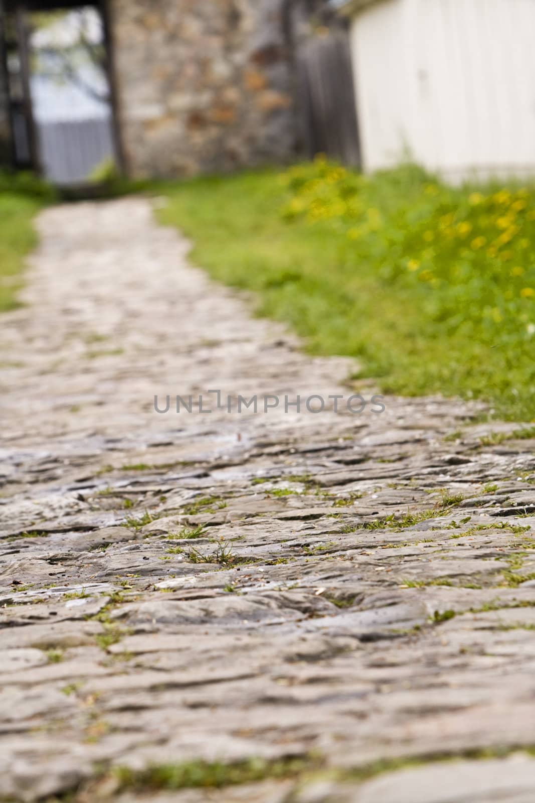 Shot of a cobbled footpath ending at an open door. Interesting perspective and extremely selective artistic focus somewhere on the path. The rest is blurred enhancing the general idea of this image: destiny...Shot with Canon 70-200mm f/2.8L IS USM