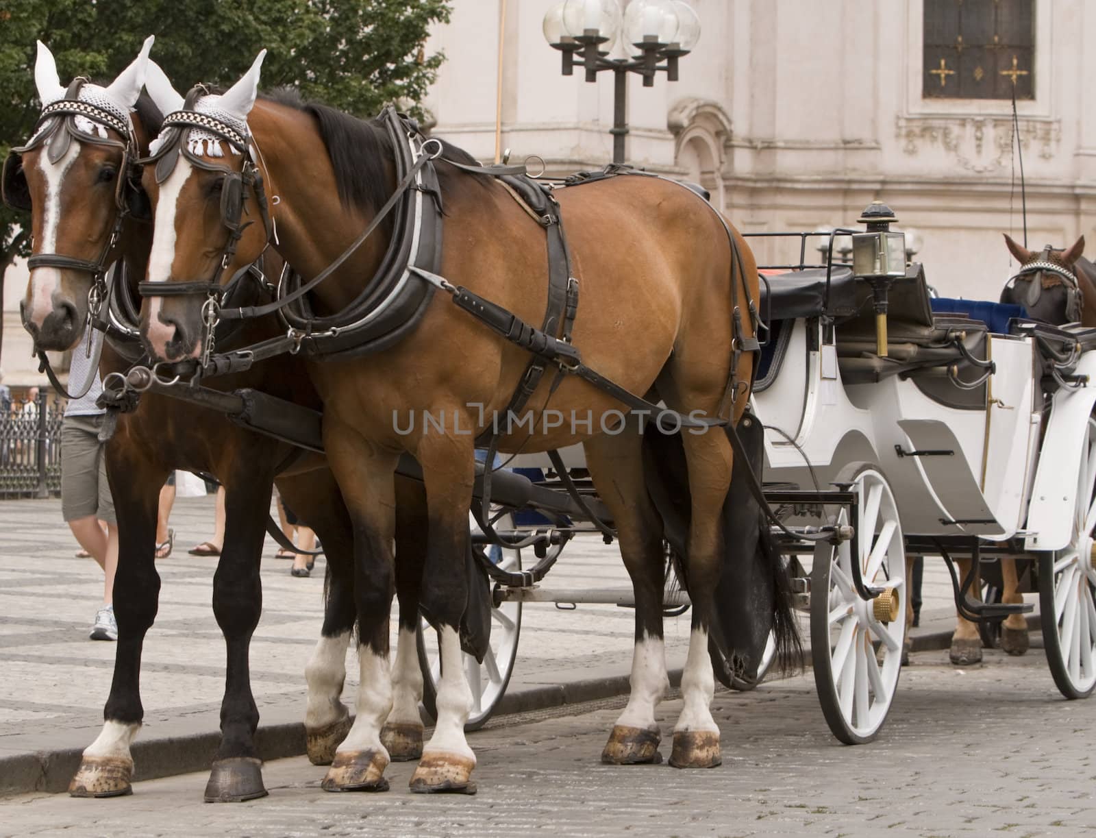 Horses and carriage in Old Town Square,Prague.Shot with Canon 70-200mm f/2.8L IS USM