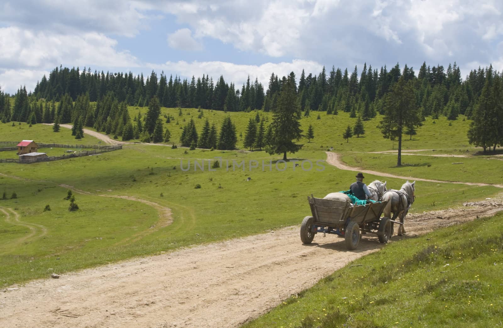 Cart pulled by horses on a mountain road.Location: Apuseni Mountains,Transylvania,Romania.