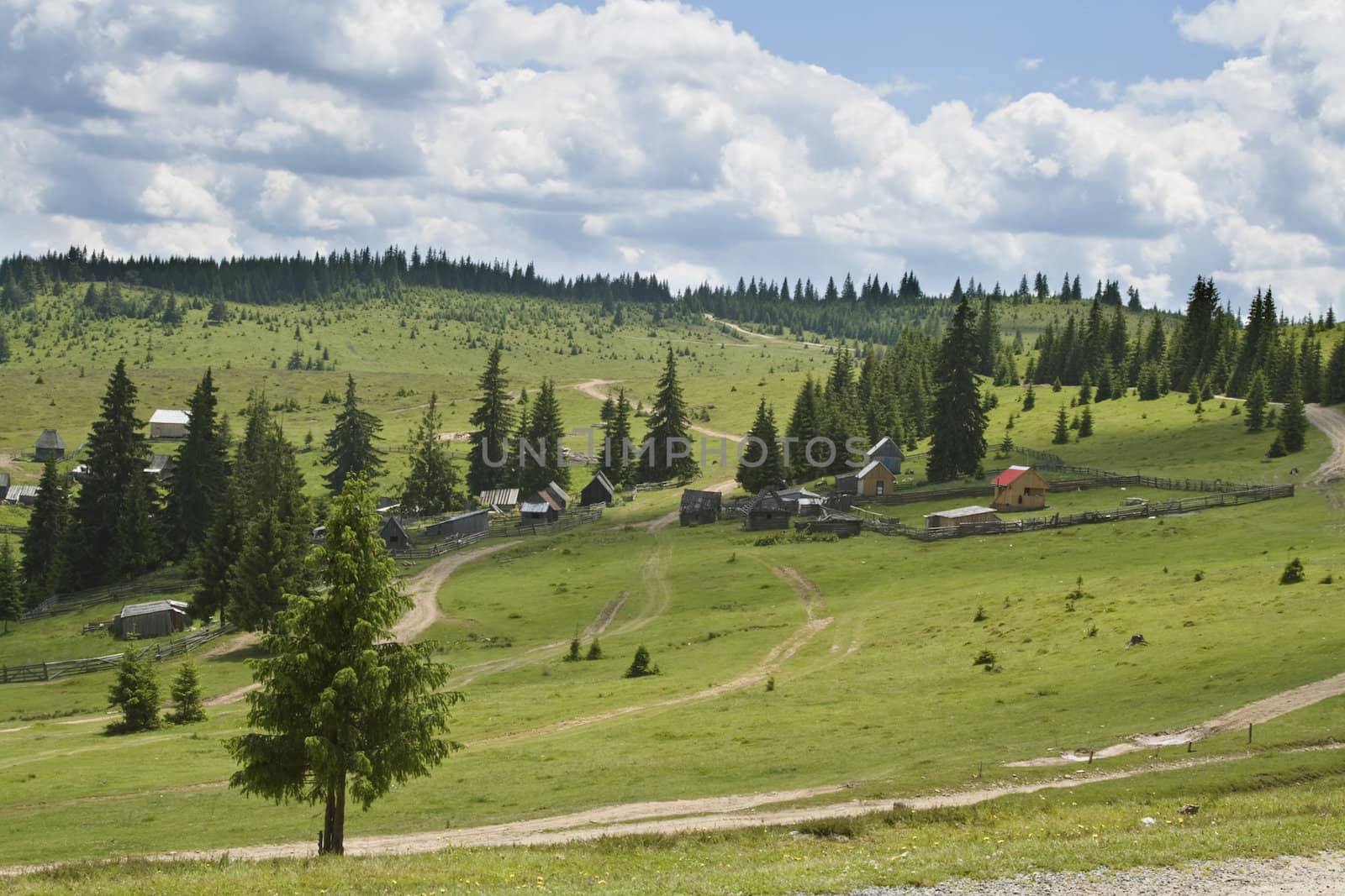 Rural landscape in Apuseni Mountains ,Transylavnai,Romania.