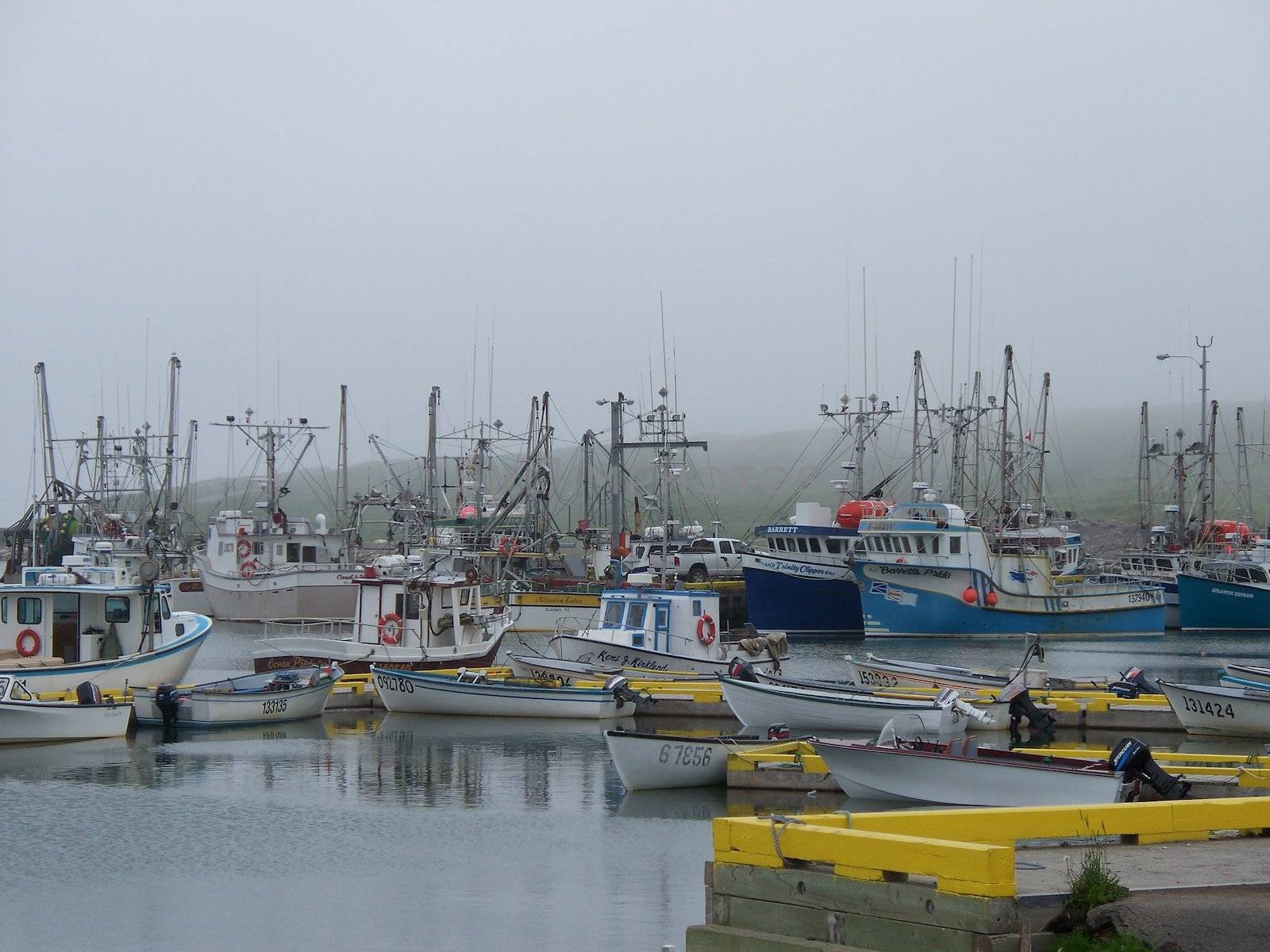 fishing boats tied up in harbour