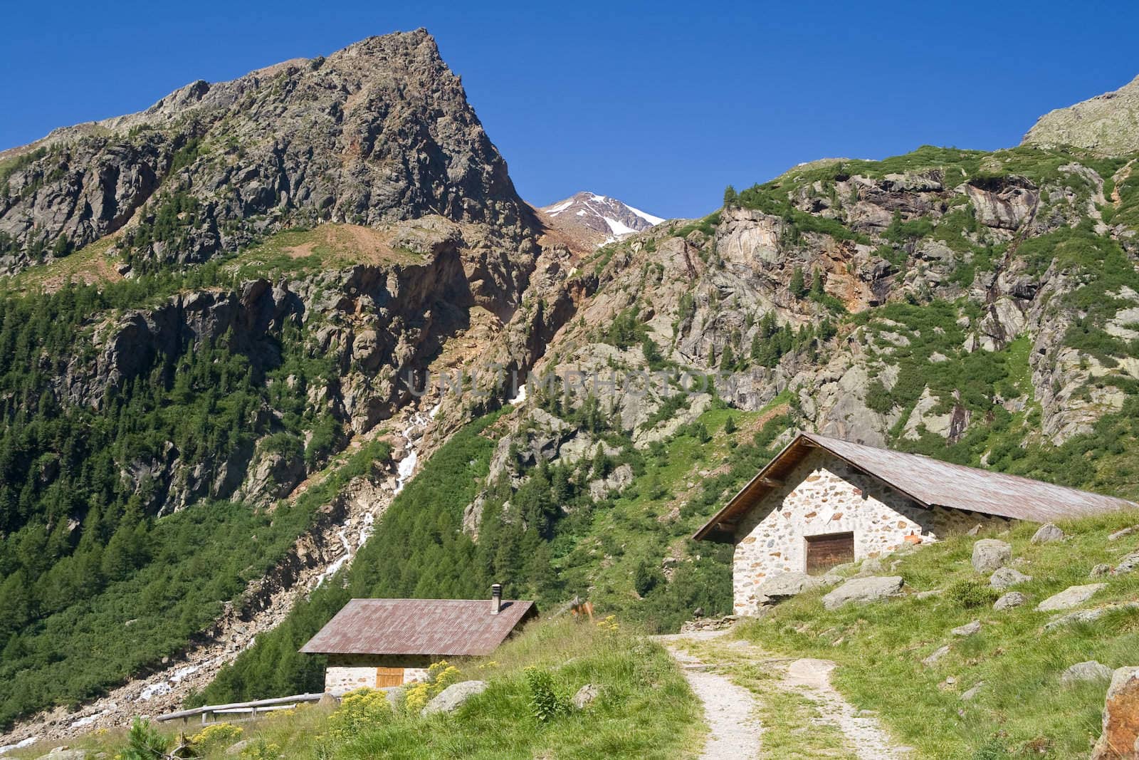 summer landscape of alpine pasture with two typical stone homes