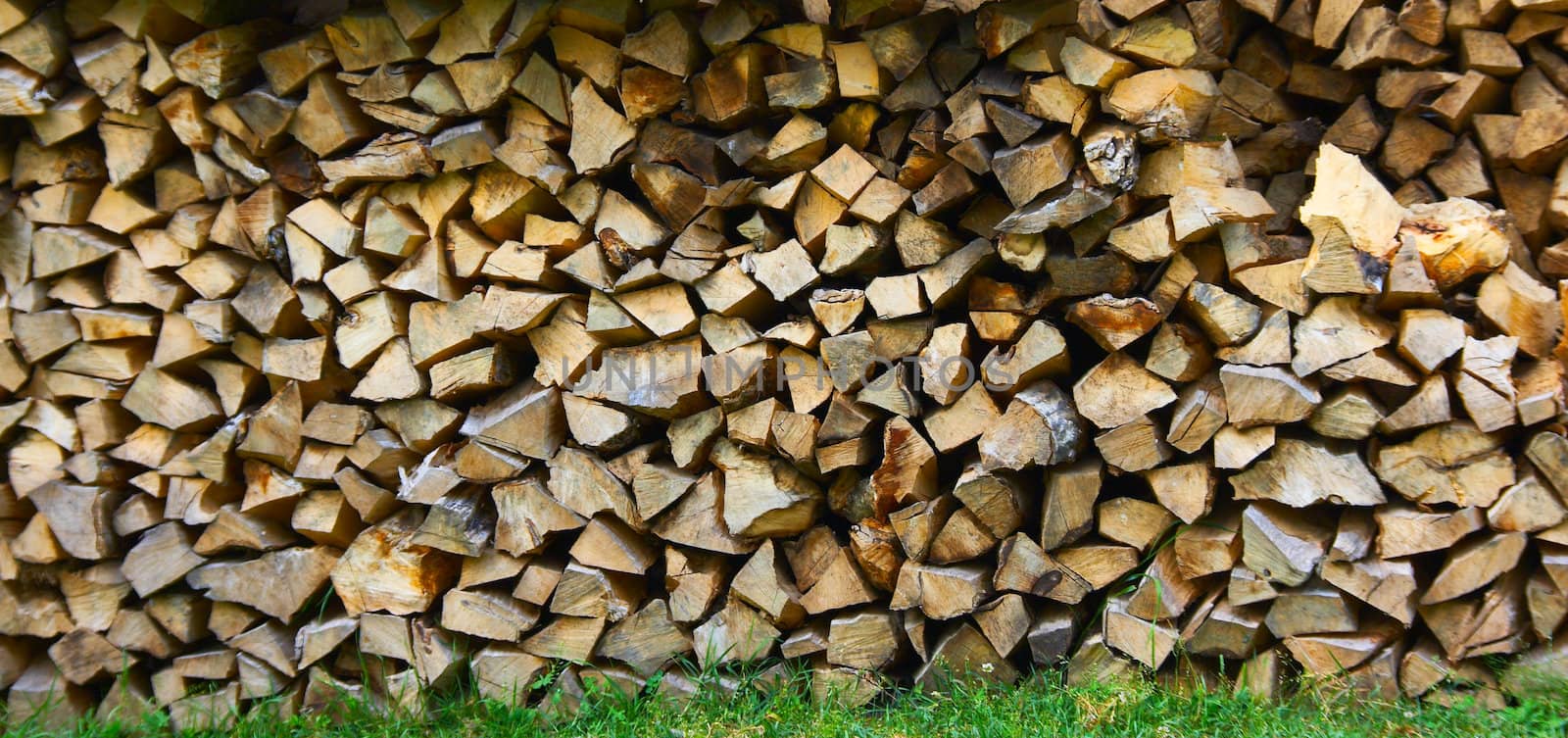 Woodpile by Dominator