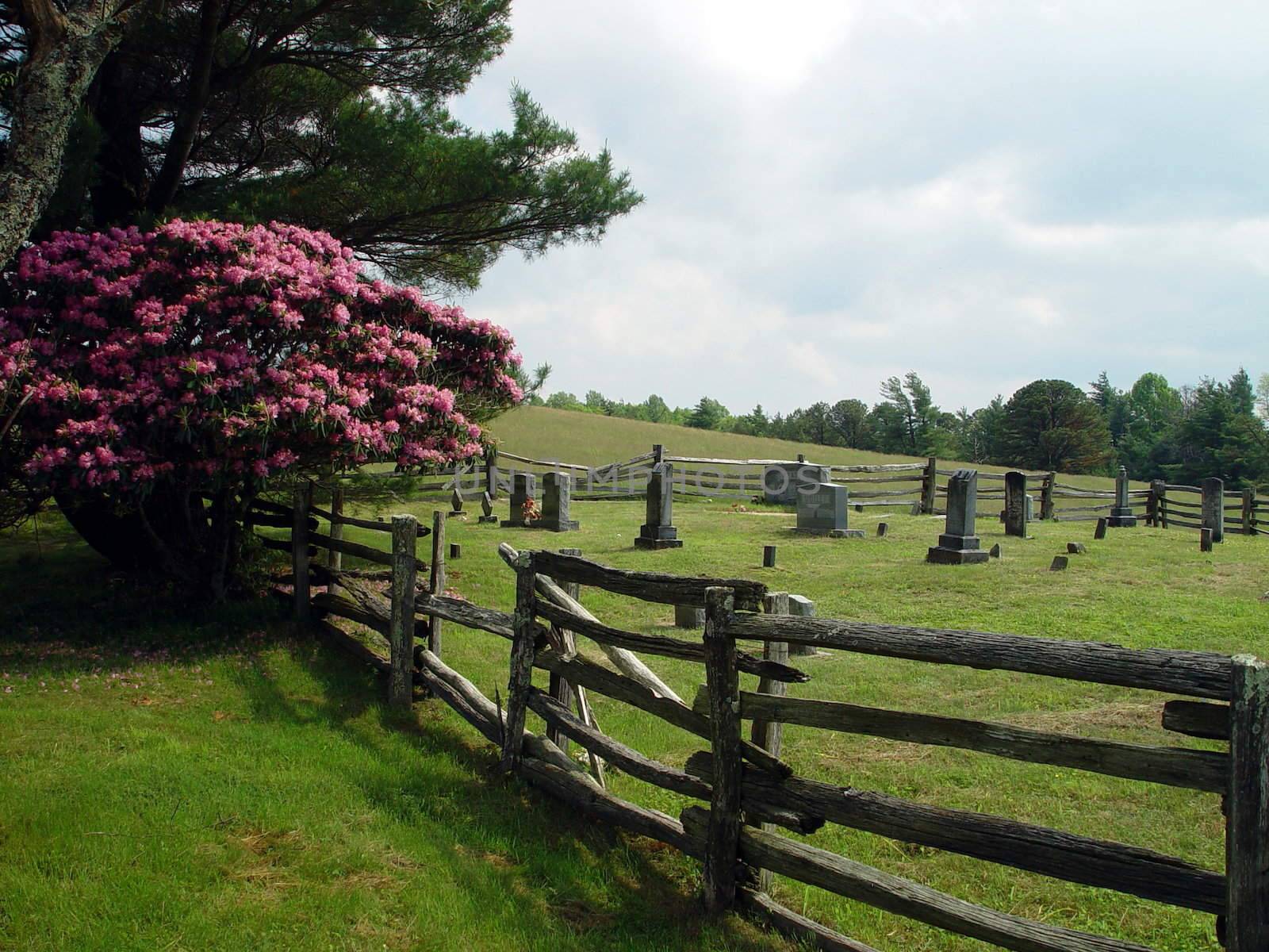 A cemetery sites off the Blue Ridge Parkway.