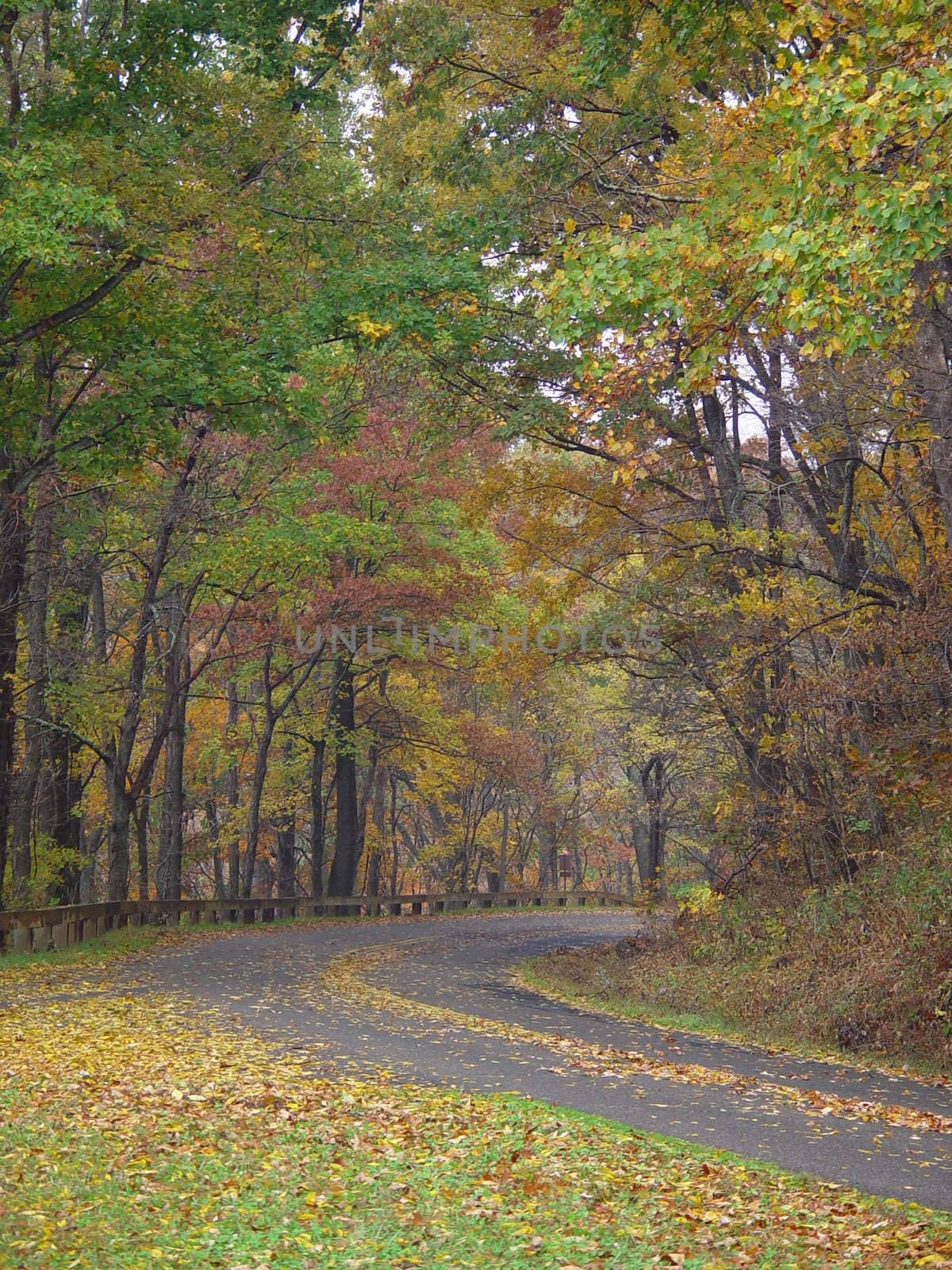 The Blue Ridge Parkway in Virginia during the fall.