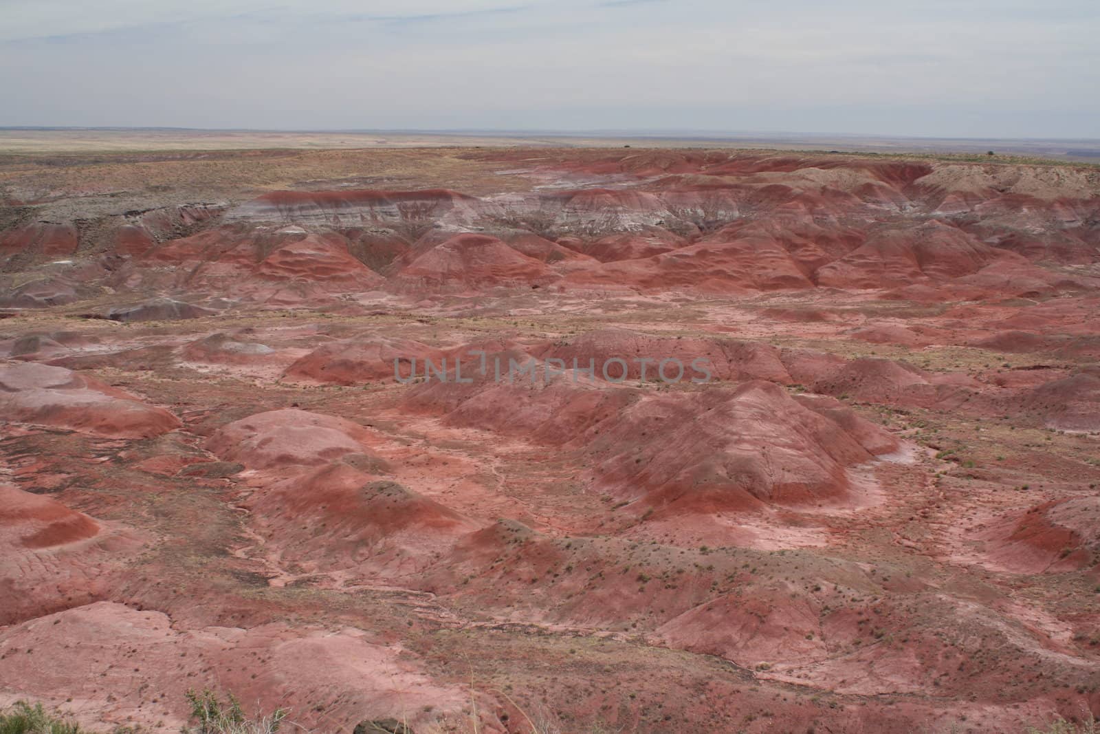 The red sands on the painted desert