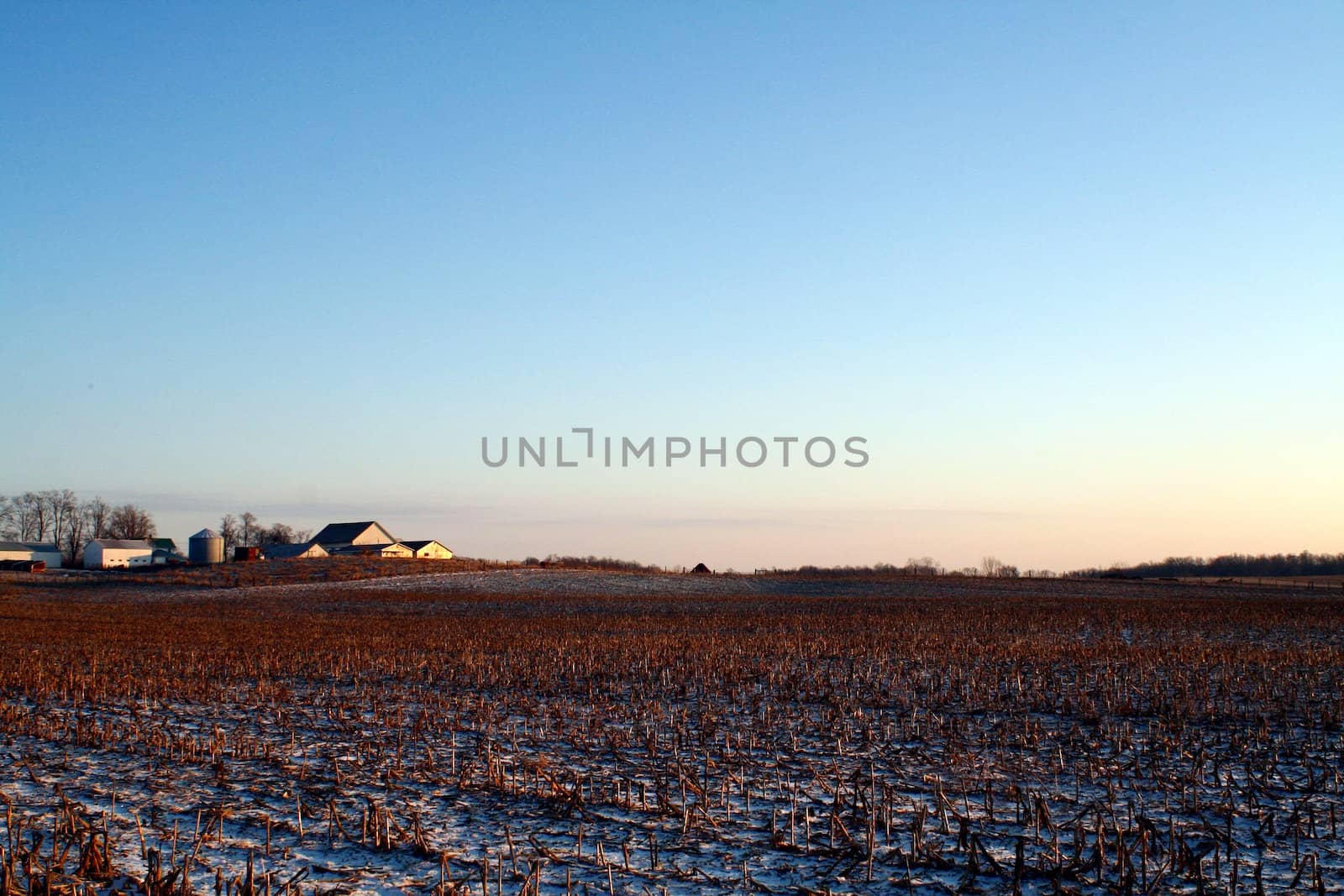 A field with a farmhouse in the distance.