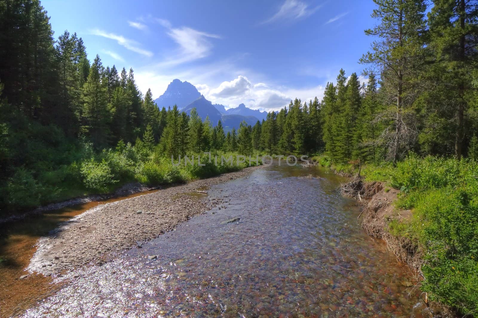 A mountain stream flowing through a forest with a peak in the background.