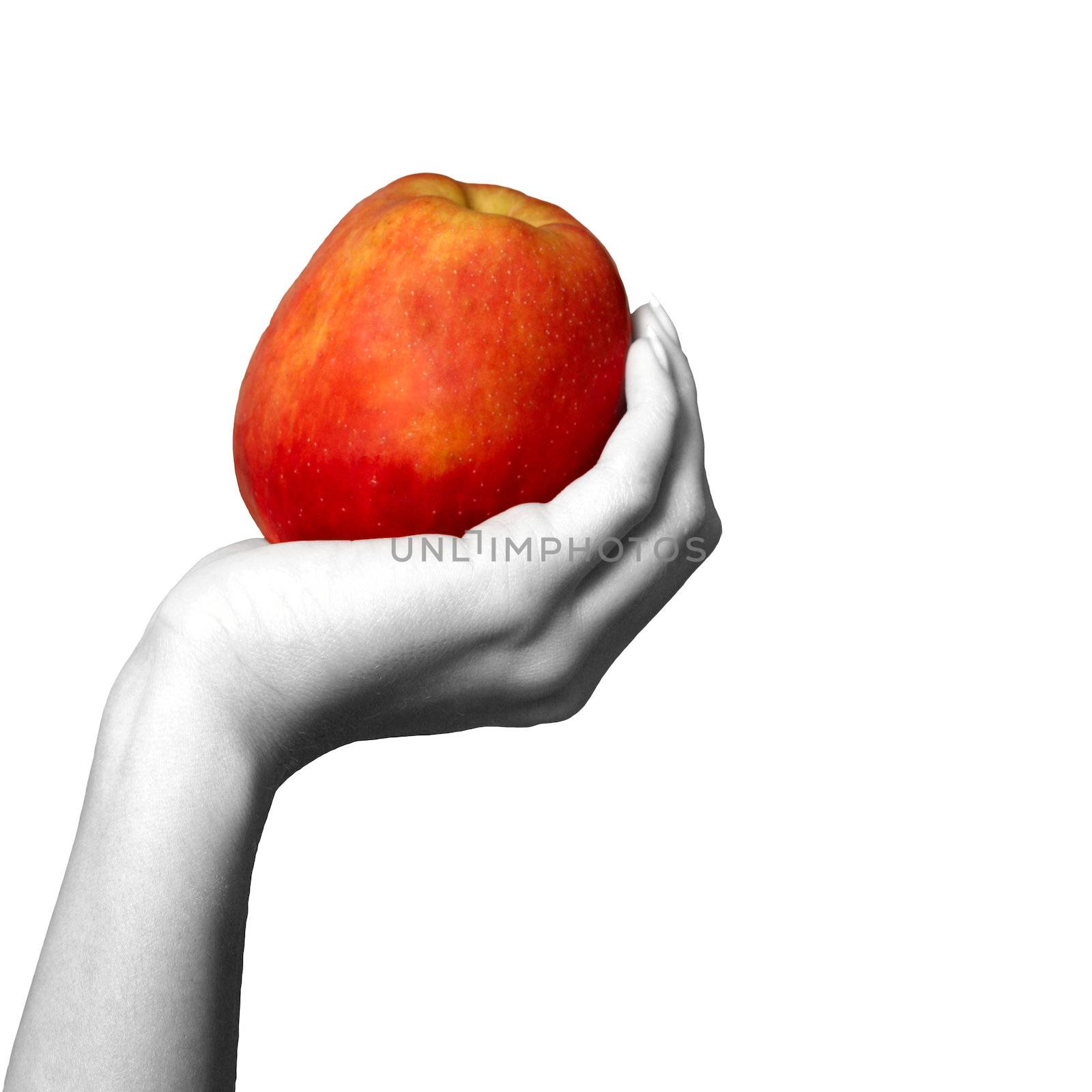 Red apple in a female hand isolated in white