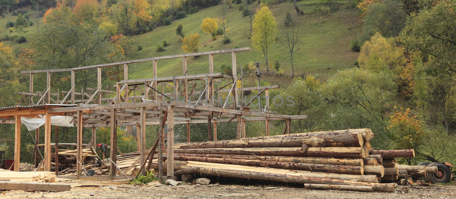 Image of a timber production place in a forested region.