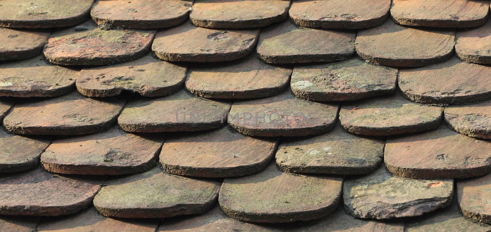 Close-up image of an old roof made of wooden tiles.
