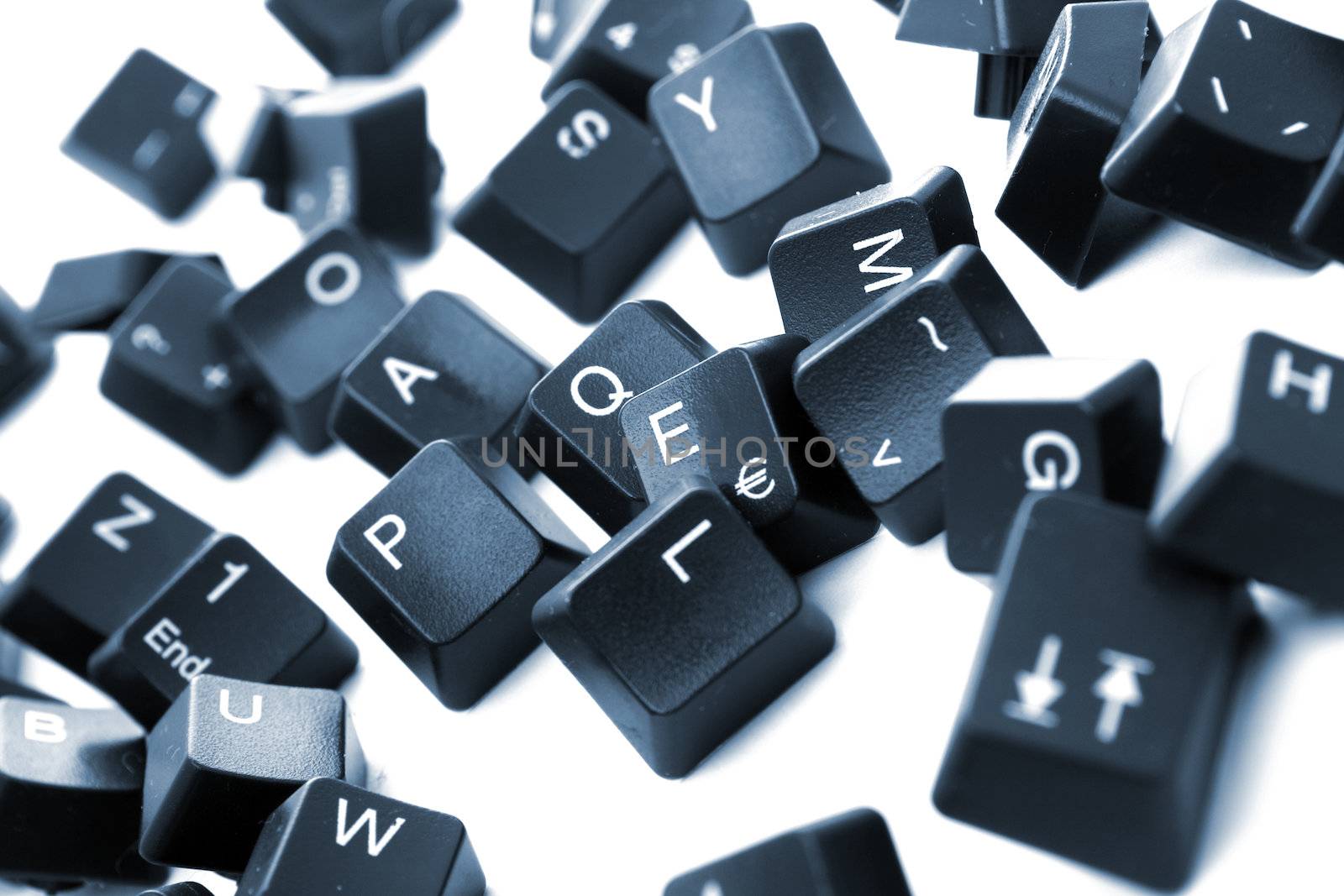 Pieces from a keyboard spread out, on white background