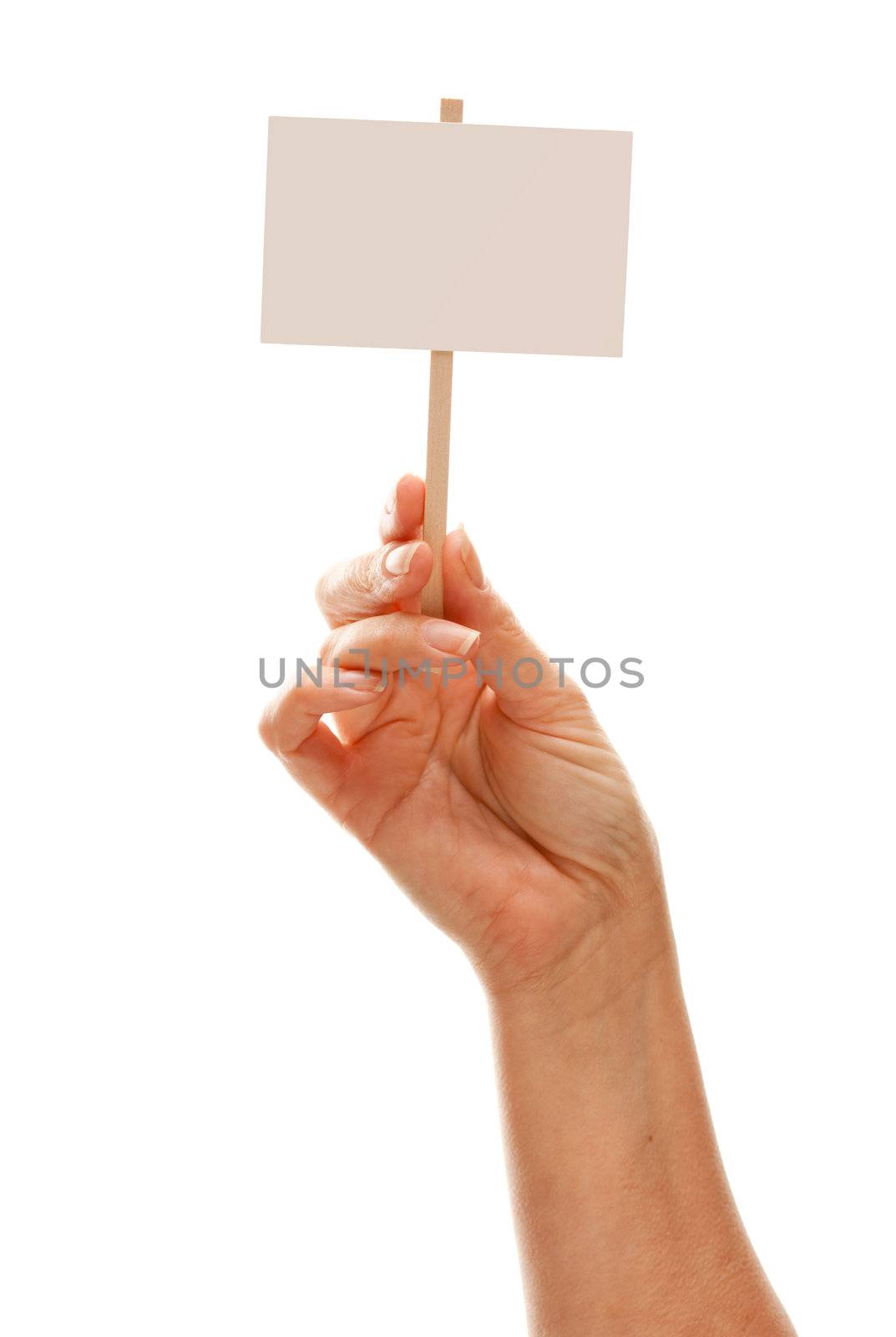 Woman Holding Blank White Sign Isolated on White by Feverpitched