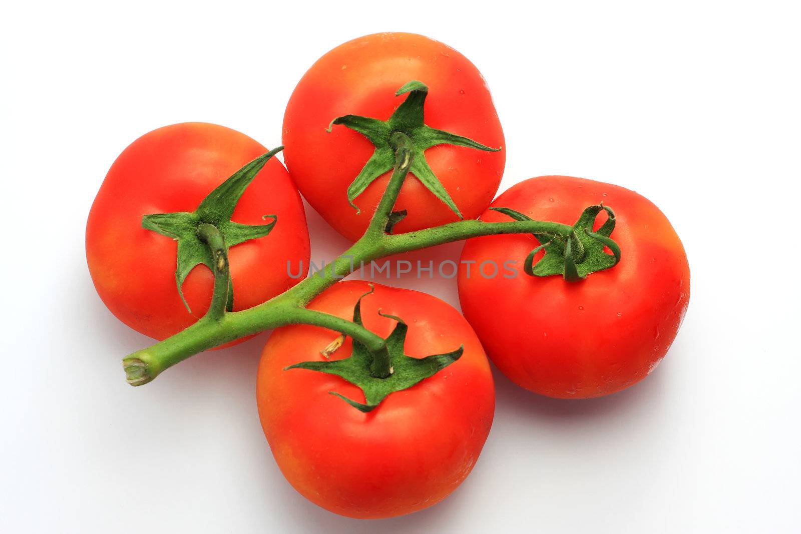 four red tomatoes on the stem, shot in studio on white, concept of freshness and purity