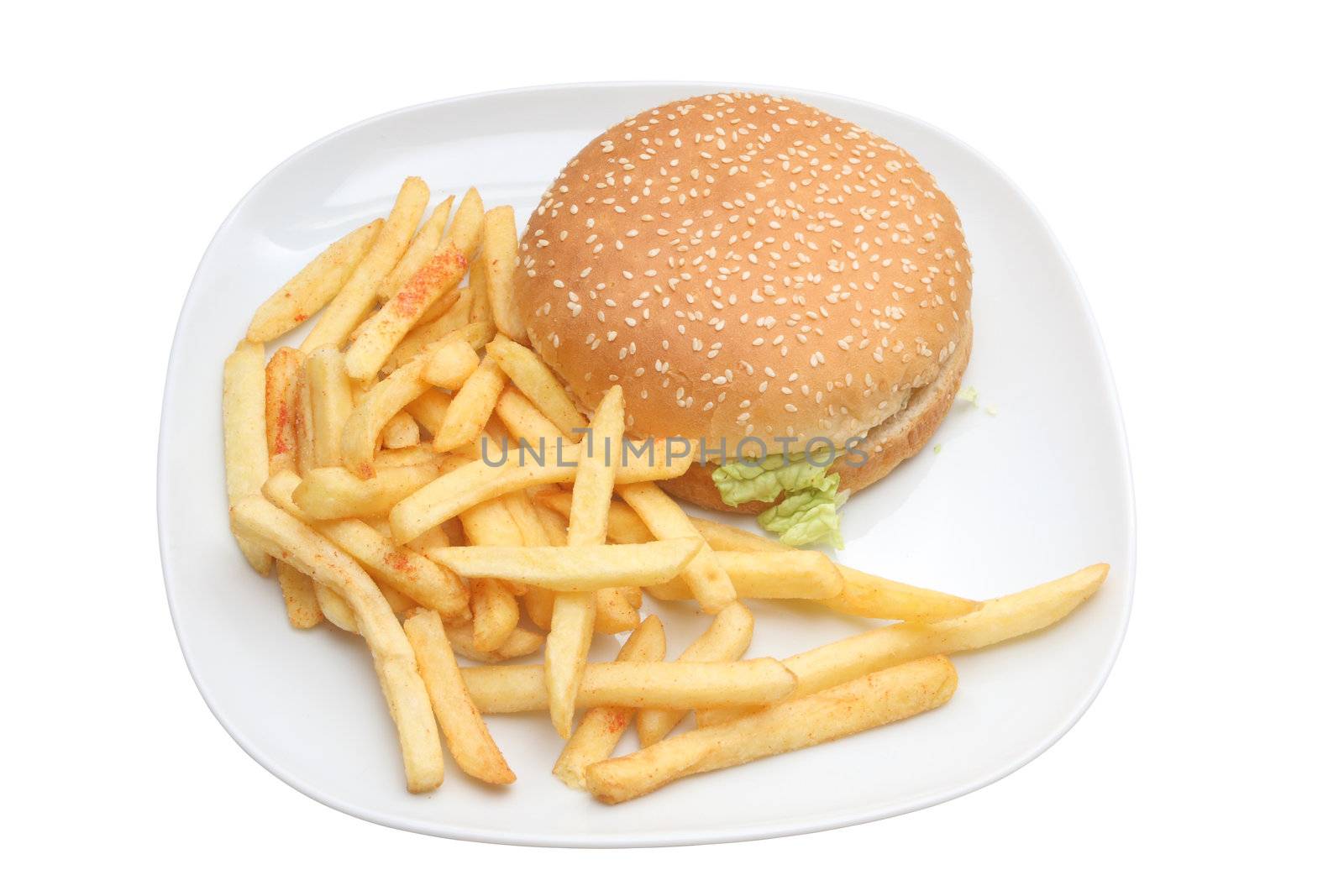 Hamburger and fries on white, on white dish, very tasty looking