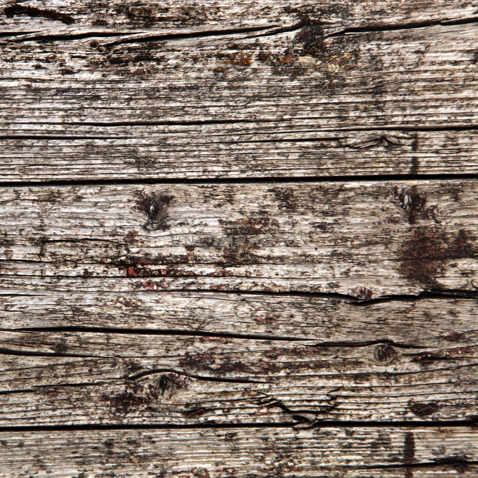 irregular background - Wood Structure - Square