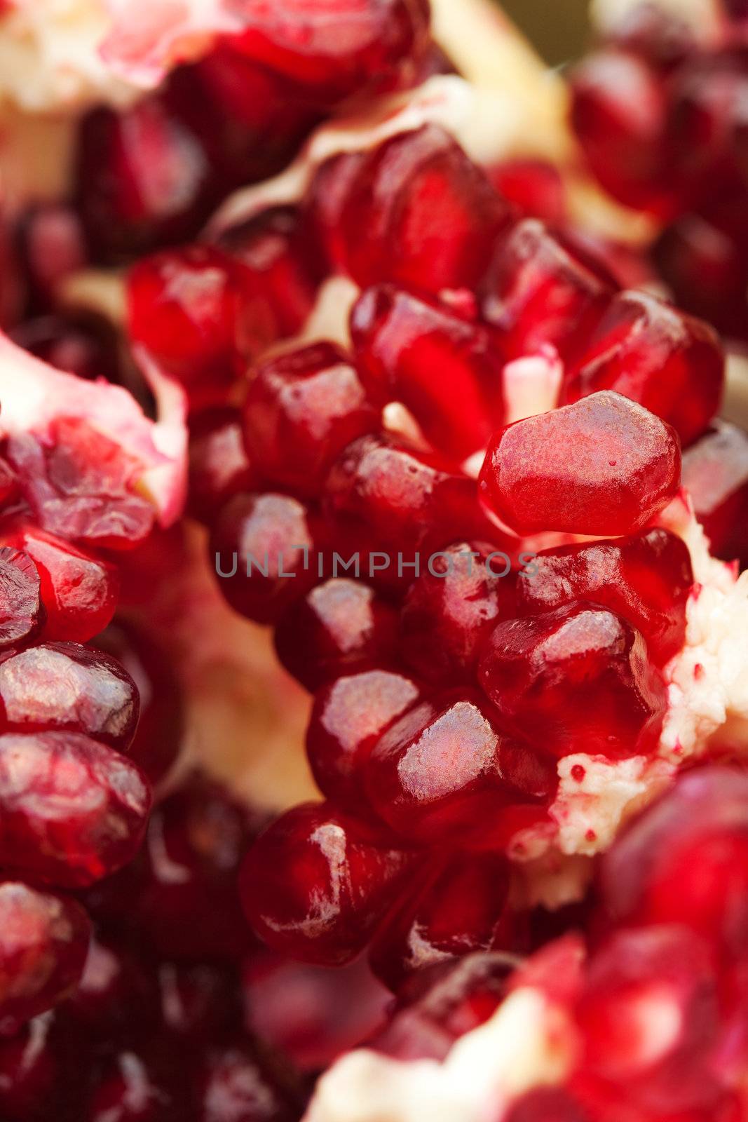 Close up of a red juicy ripe pomegranate seeds