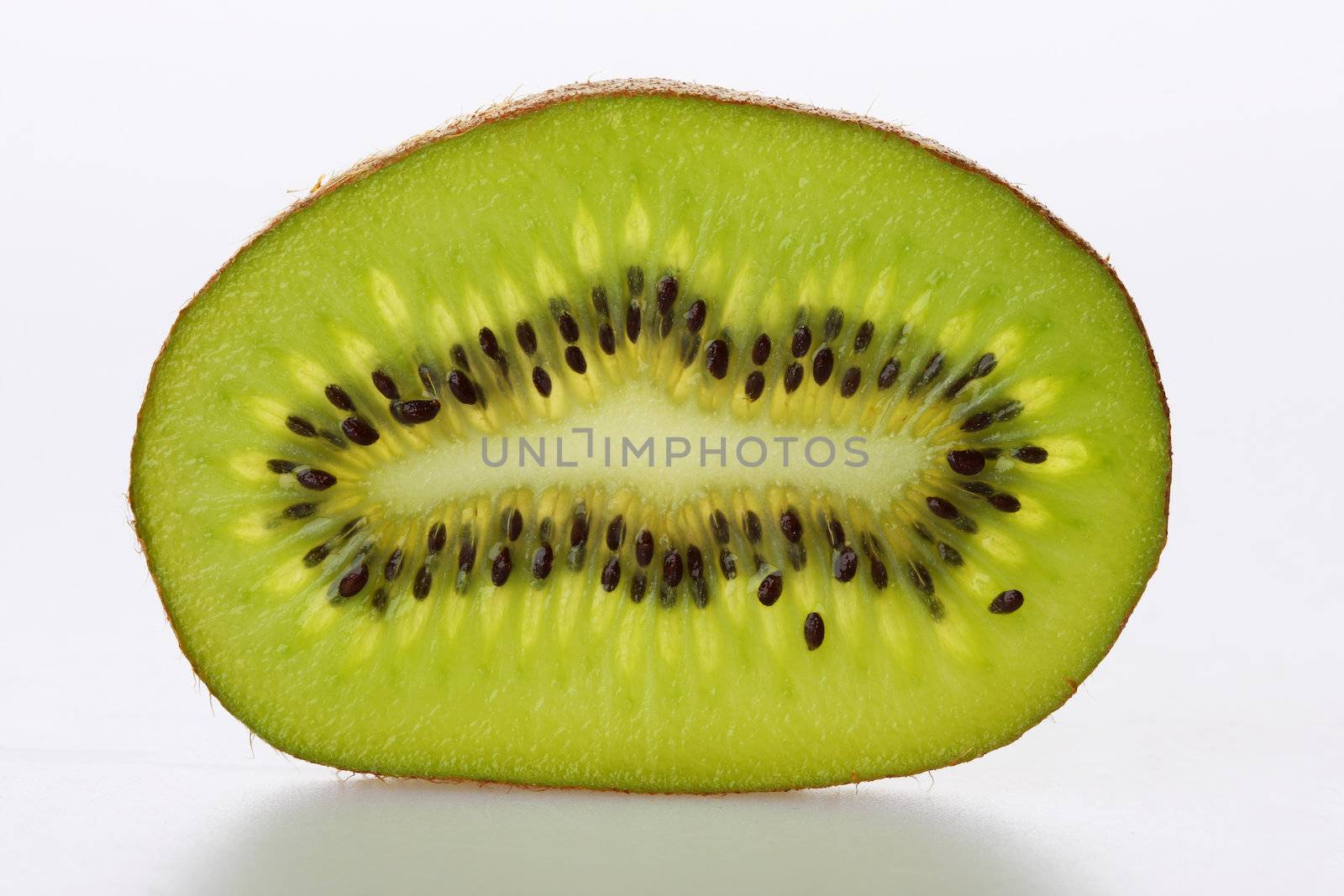 A macro shot of a slice of kiwi on white, lighted from behind, great texture and detail
