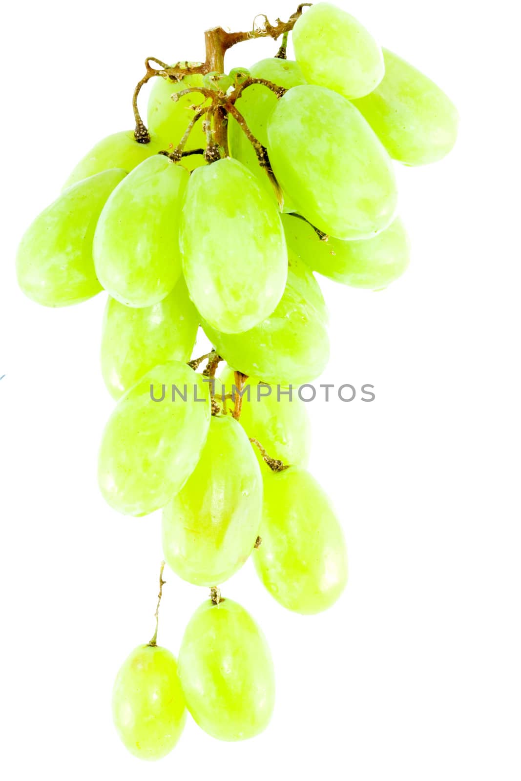 detail of a bunch of grapes on the white background