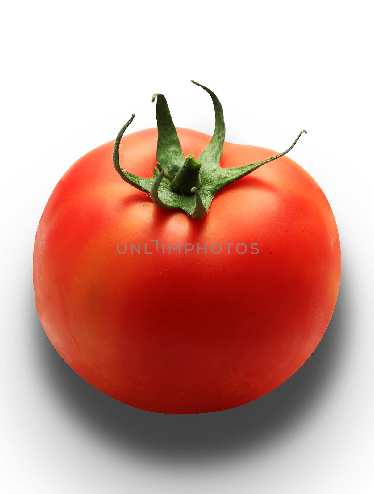 Single red tomato isolated on white with clipping path, studio lighting, drop shadow created in different layers 