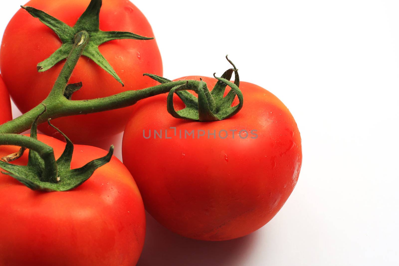three red tomatoes on the stem shot on white in studio, cropped shot with copy space to the right, perfect for concepts of freshness or purity
