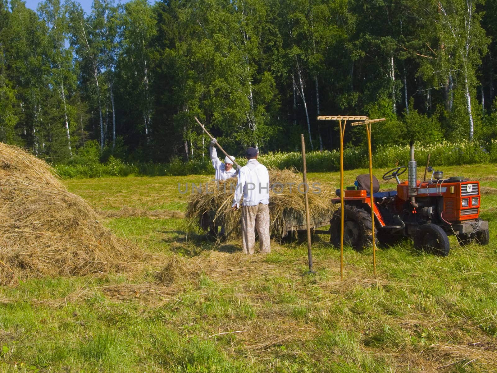 Haymaking in Siberia 24 by soloir