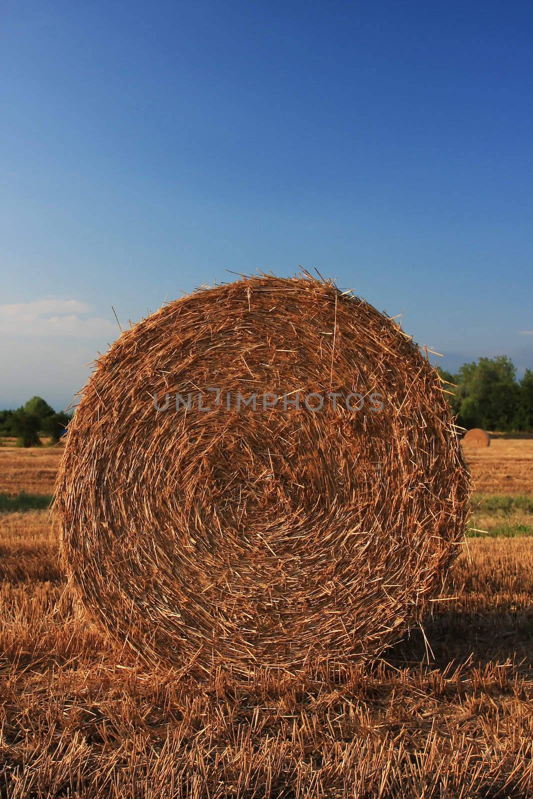 A close up of a hay bale on a corn field in Europe, shot in the warm afternoon sun, great warm feel to the image