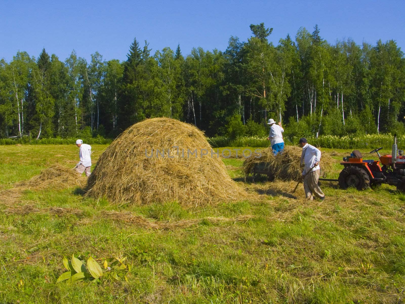 Haymaking in Siberia 22 by soloir