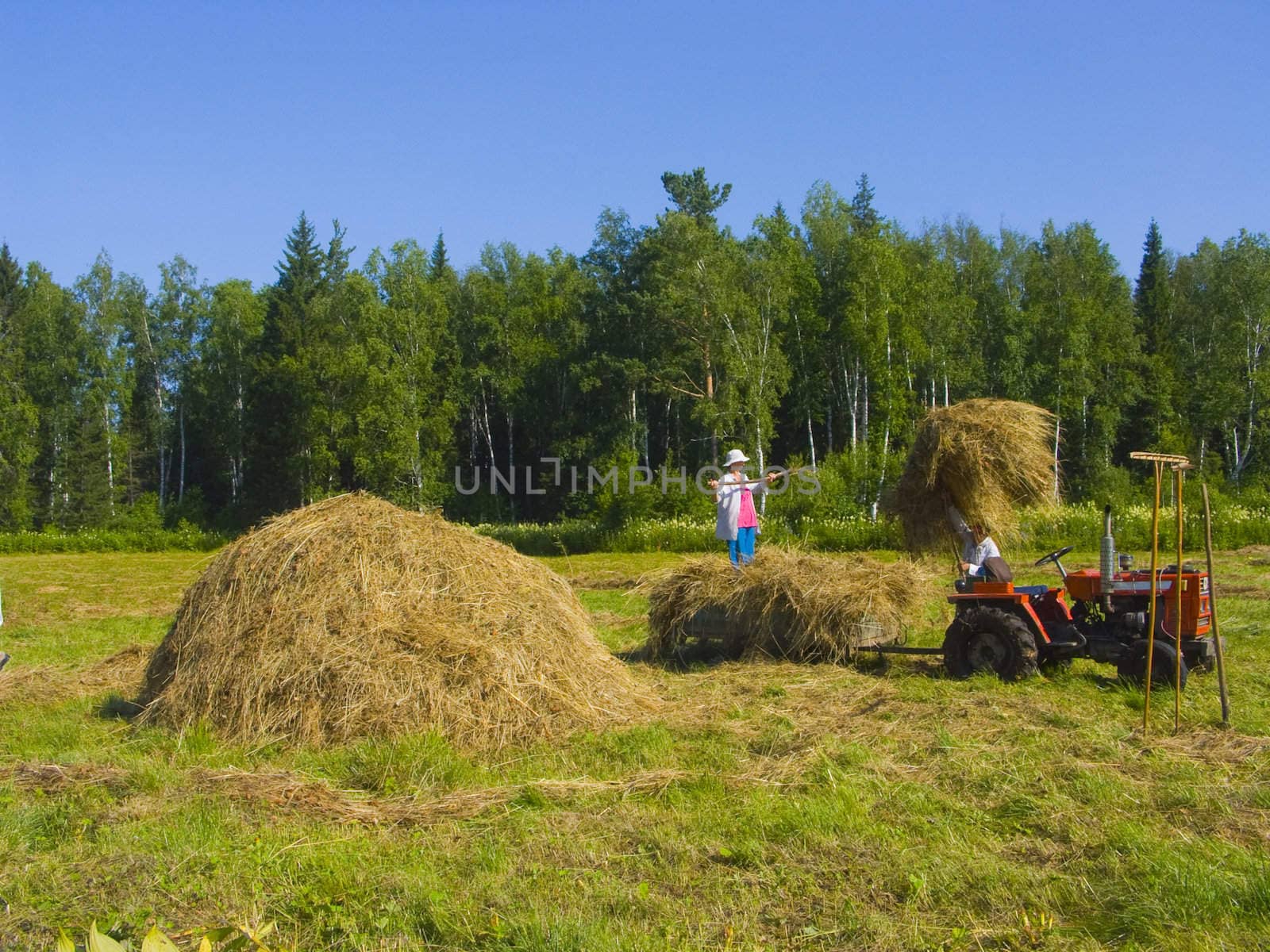 Haymaking in Siberia 21 by soloir