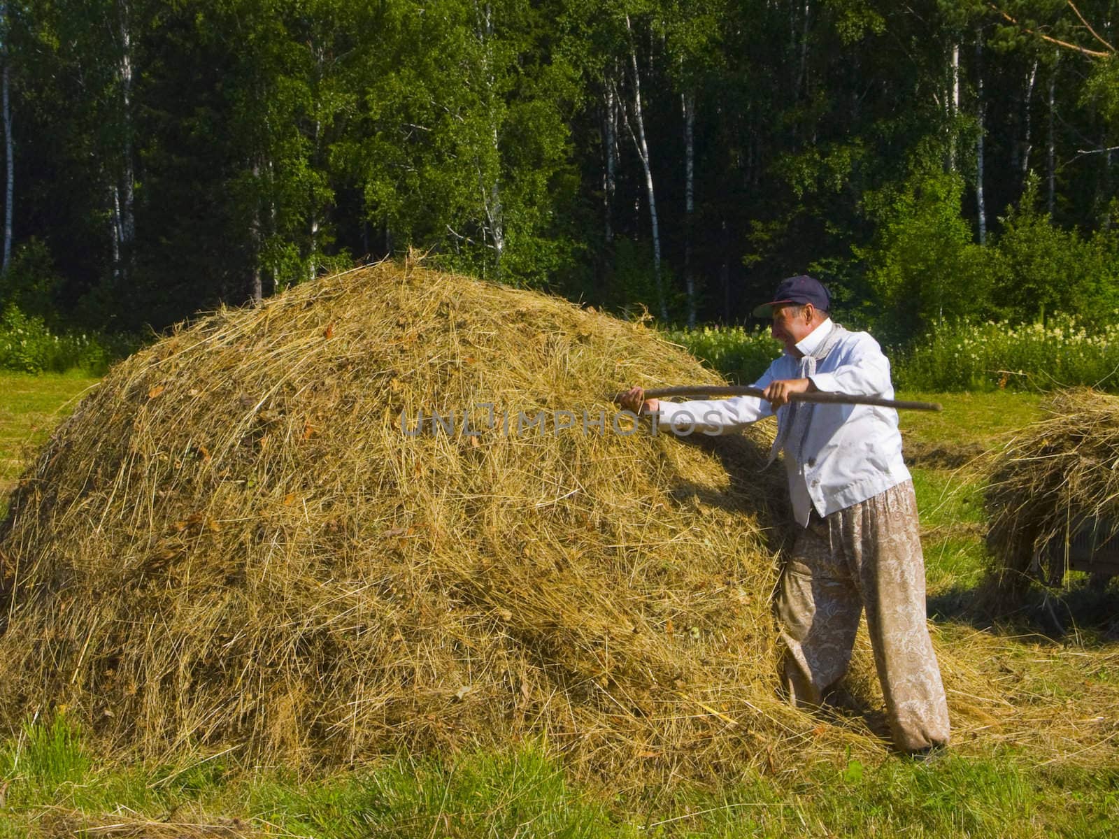 The image of preparation of hay peasants in Siberia