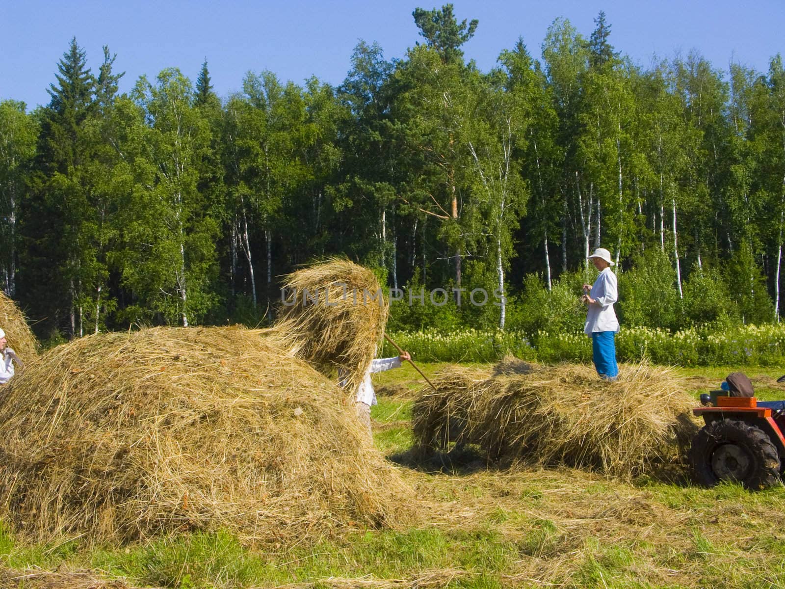 Haymaking in Siberia 19 by soloir