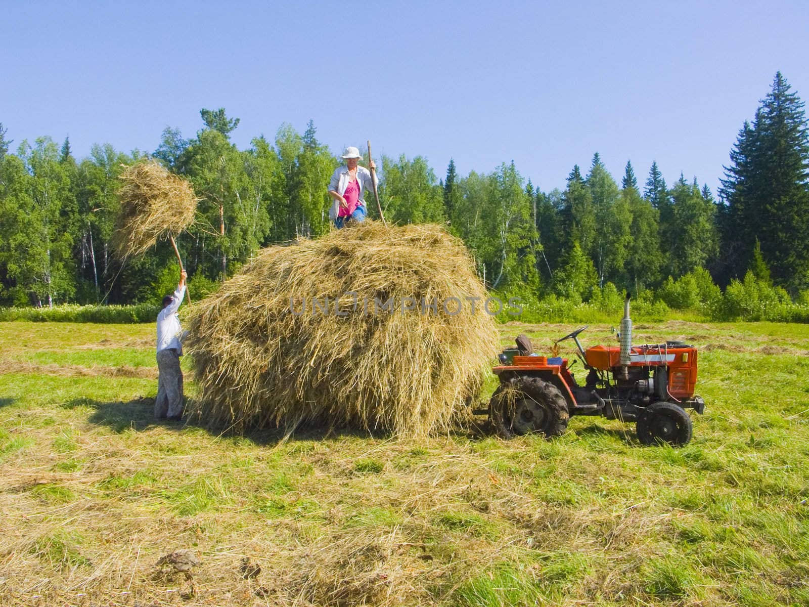 Haymaking in Siberia 15 by soloir
