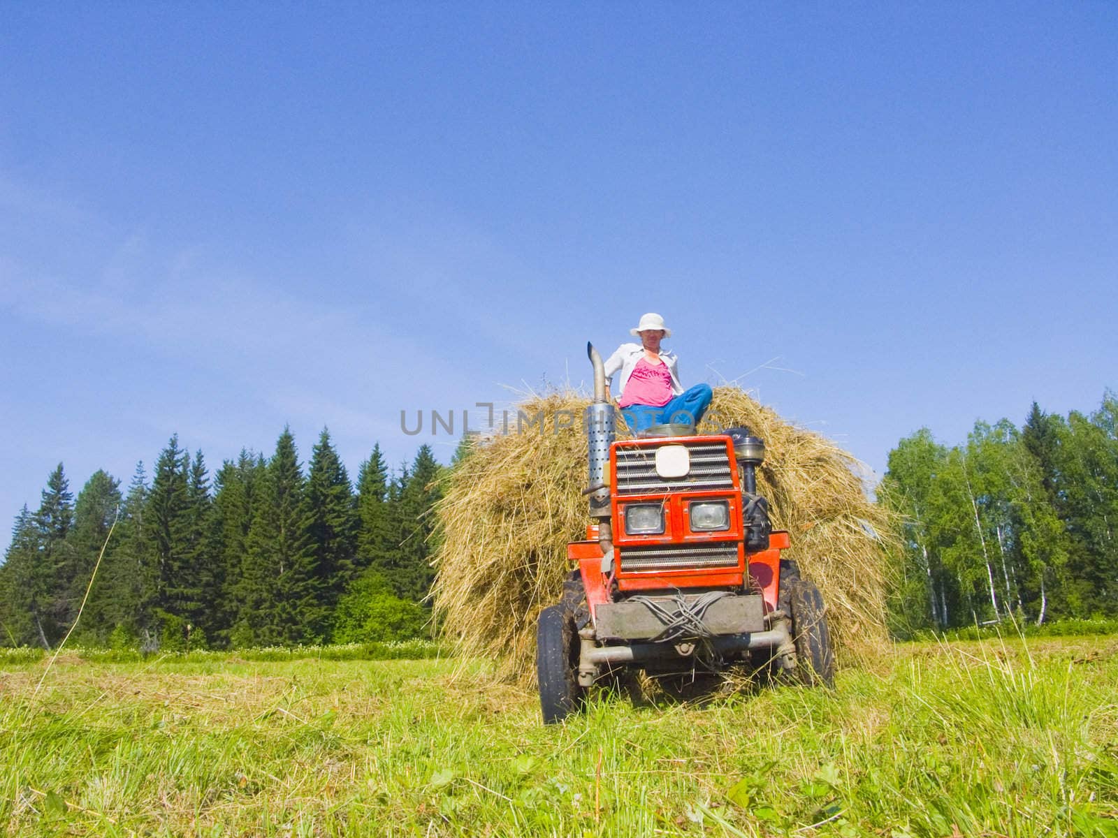 The image of preparation of hay peasants in Siberia