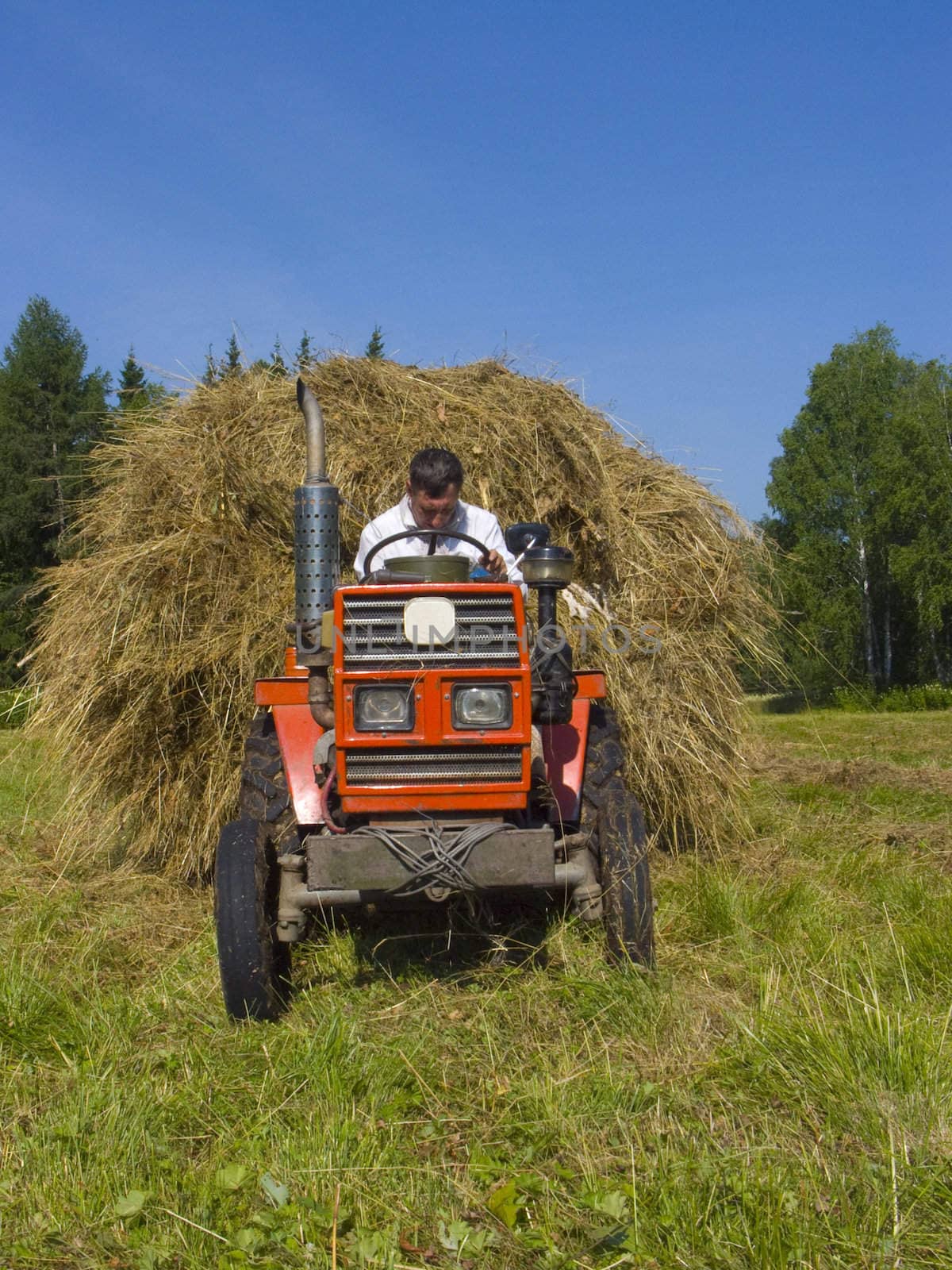 Haymaking in Siberia 4 by soloir