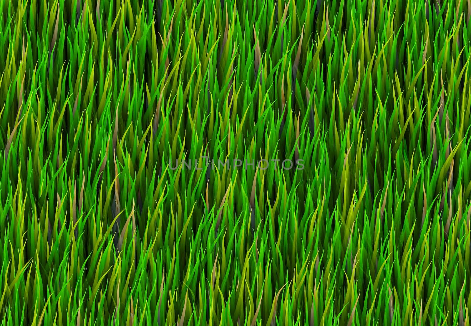 Green Grass Patch Abstract Background Pattern Texture