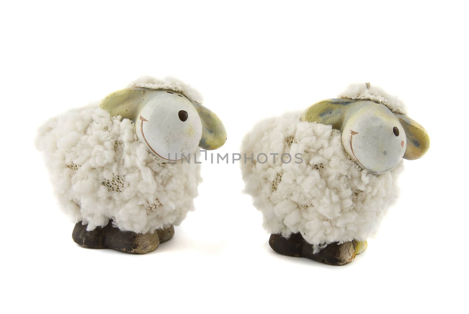 Two sheep toy isolated on the white background.