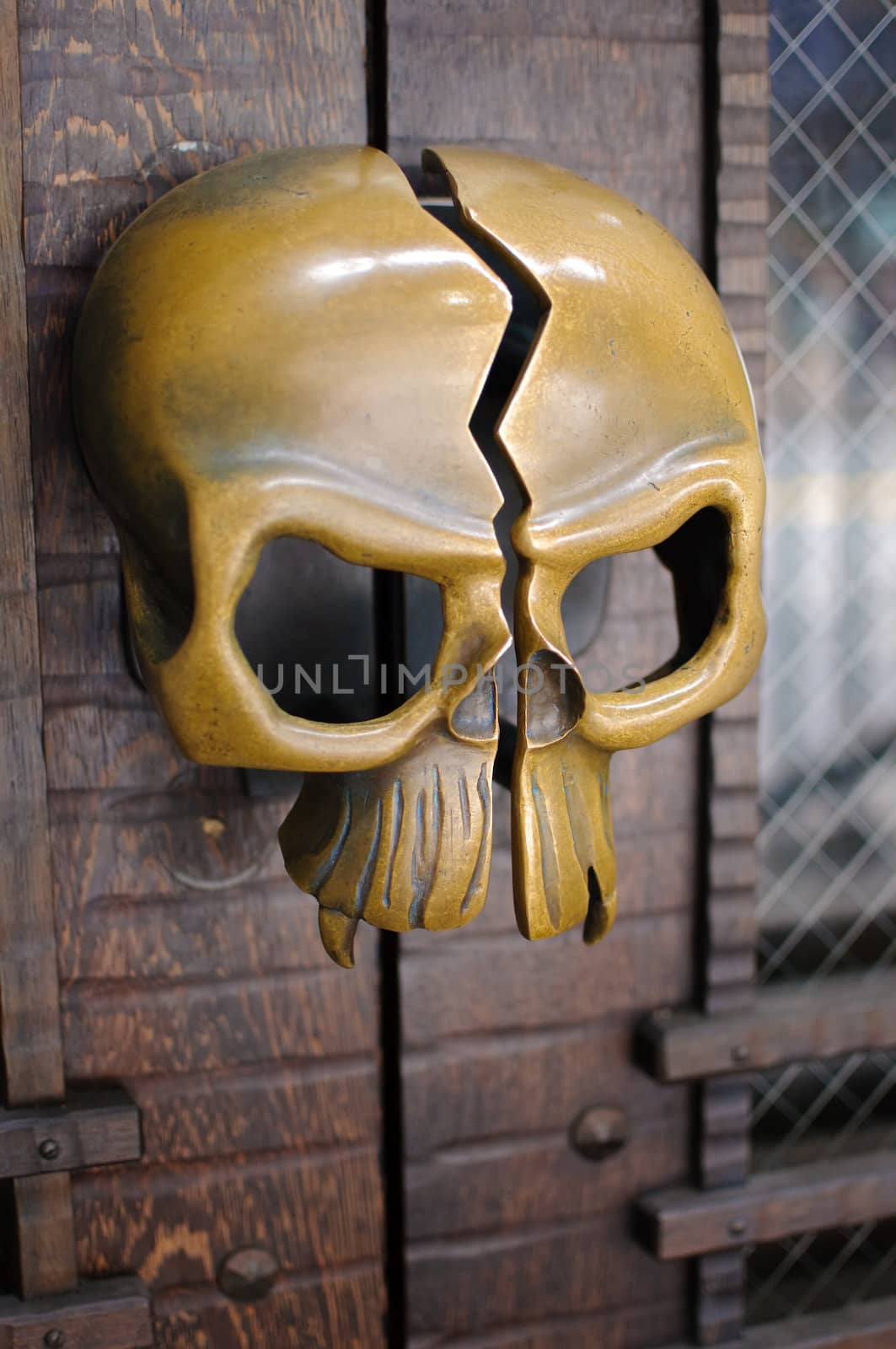 a yellow brass skull shaped door handle.