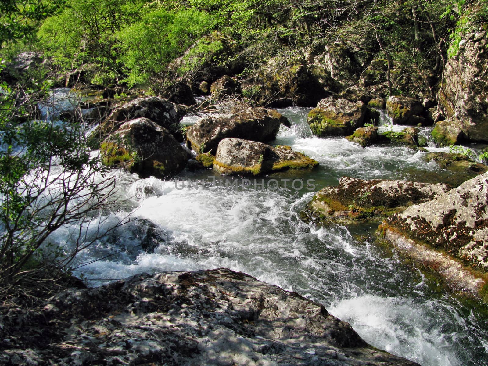 Mountain small river in Crimea in the spring