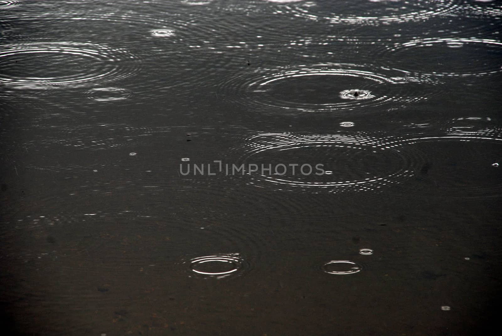 On the beach, on a rainy day, black clouds in the sky, thunder. This photo shows just raindrops on the surface of the water along a beach in a small lake in Norway. 