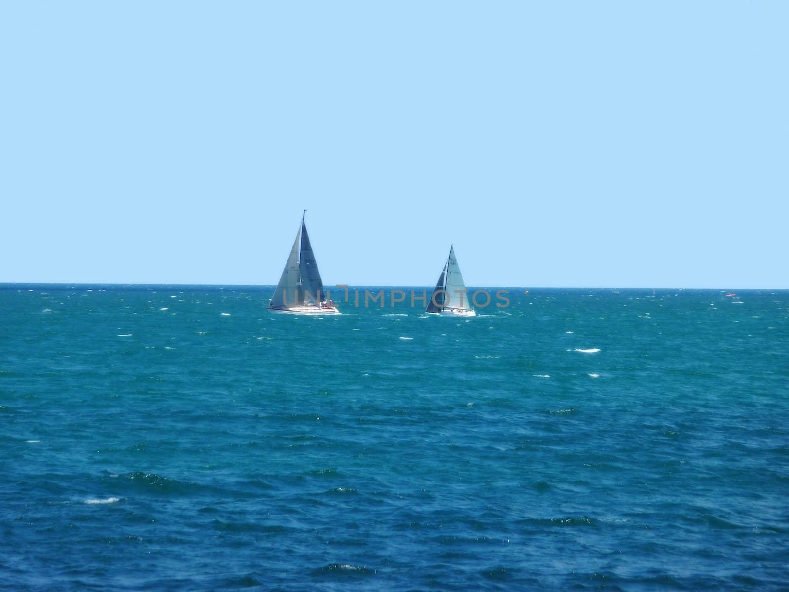 Sailing regatta in Sevastopol July, 2008