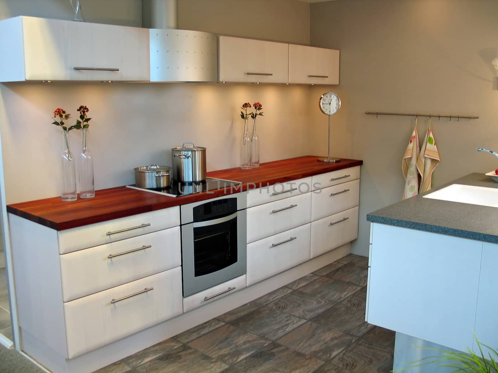 Modern design kitchen with hardwood and metal elements 